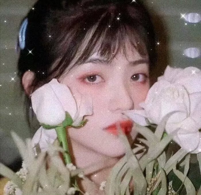 梦幻拍档