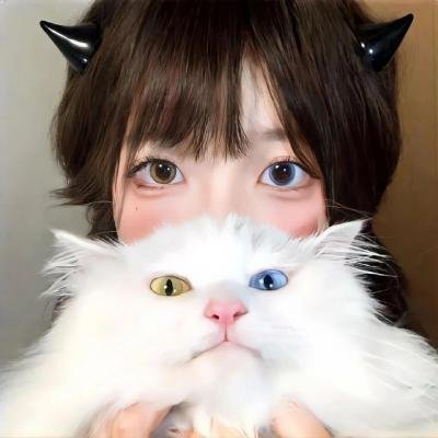 装甲娘战机